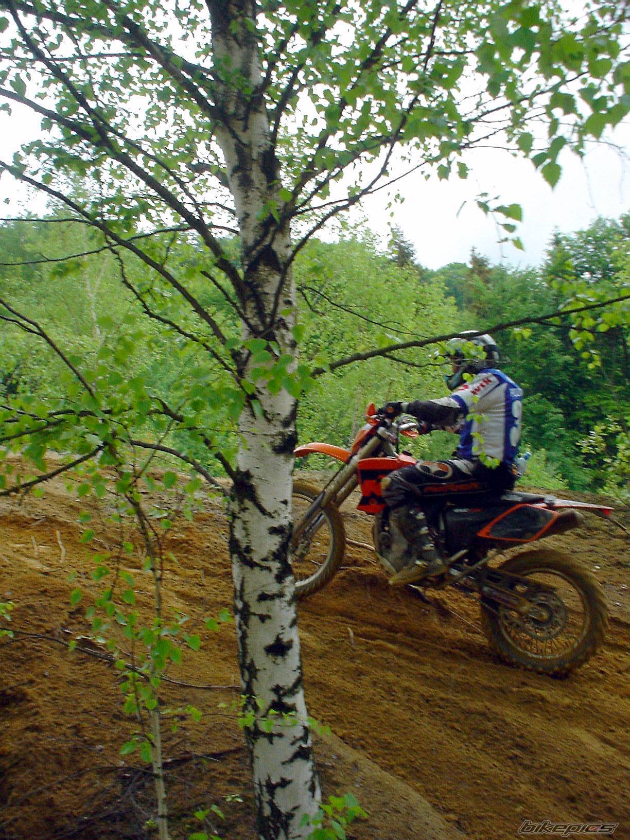 2004 KTM 450 EXC | Picture 162138 motorcycle photo