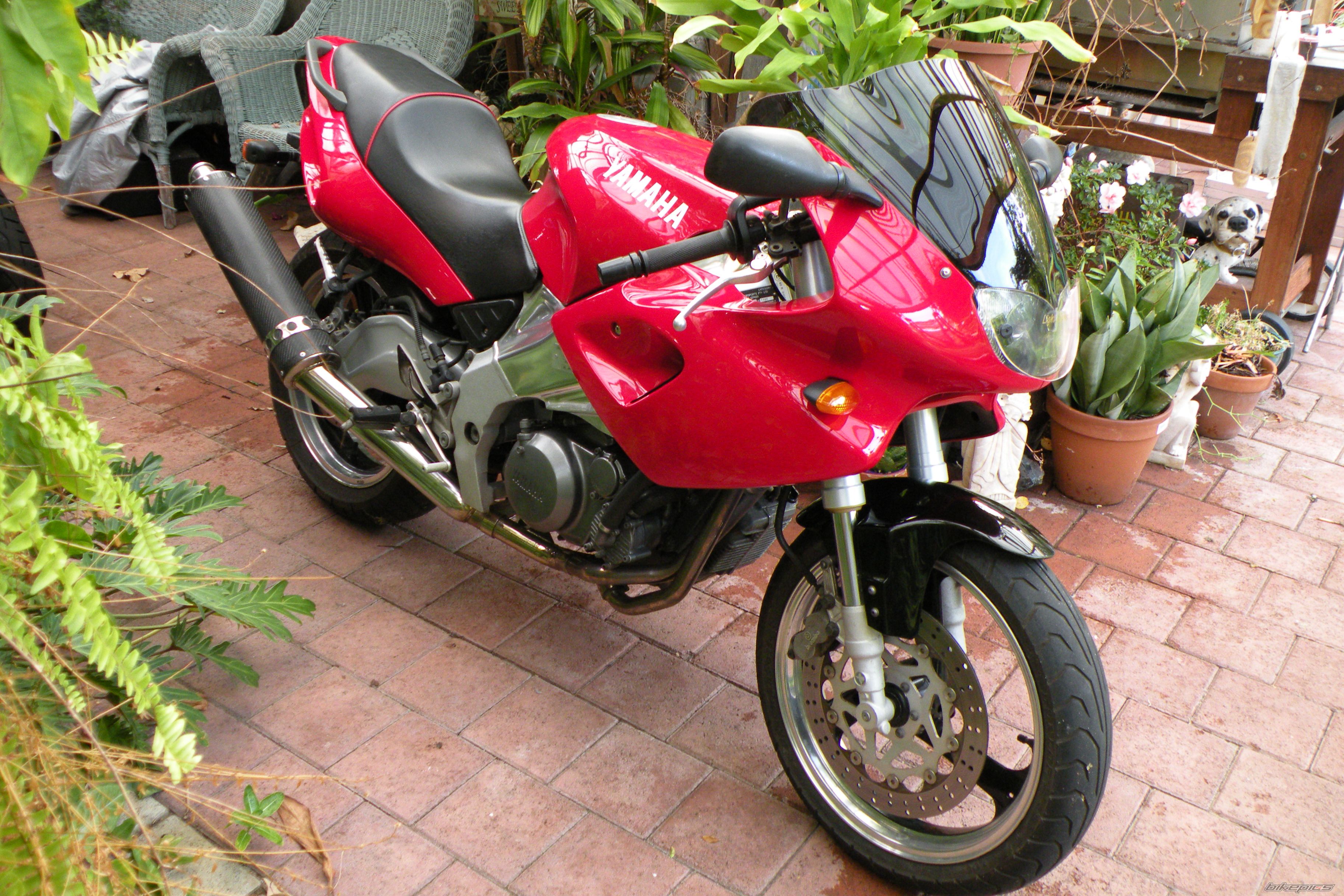 1999 YAMAHA SZR 660 | Picture 1621490 motorcycle photo