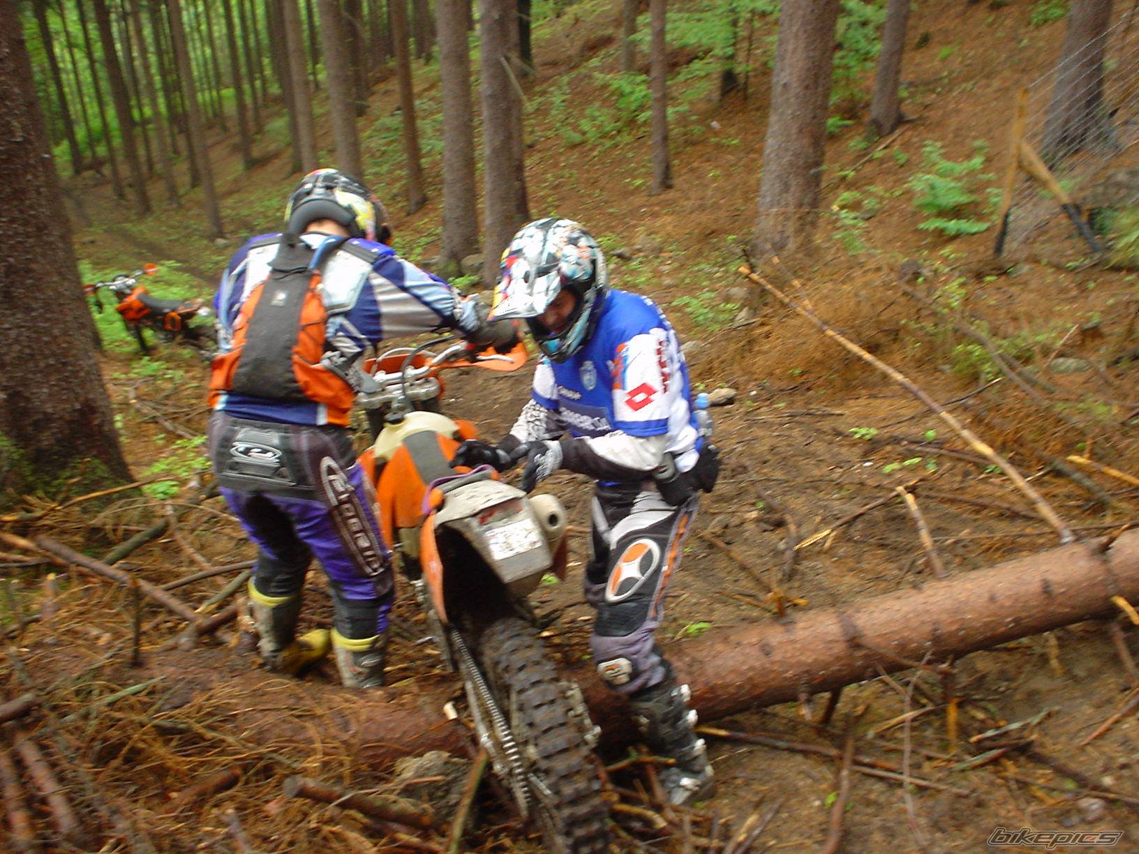 2004 KTM 450 EXC | Picture 162150 motorcycle photo