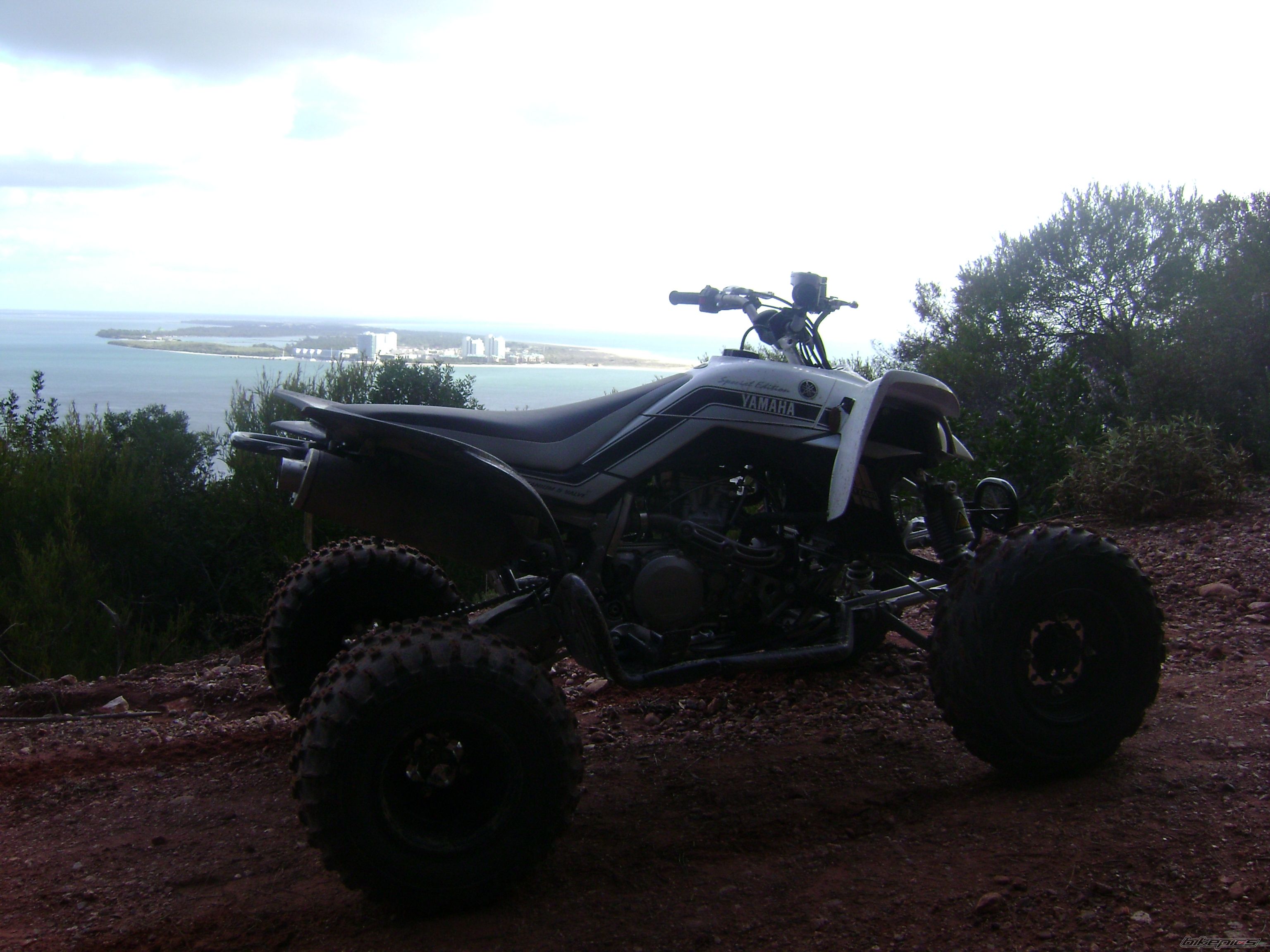 2009 YAMAHA RAPTOR YFZ 450 | Picture 1622196 motorcycle photo