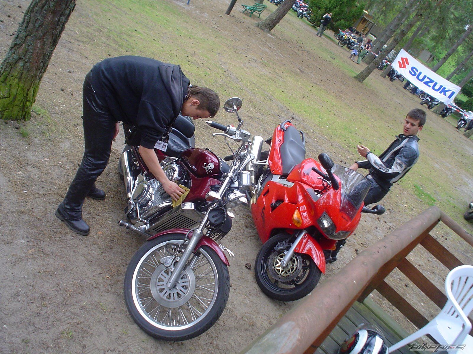 1998 HONDA VFR 800 | Picture 1622318 motorcycle photo
