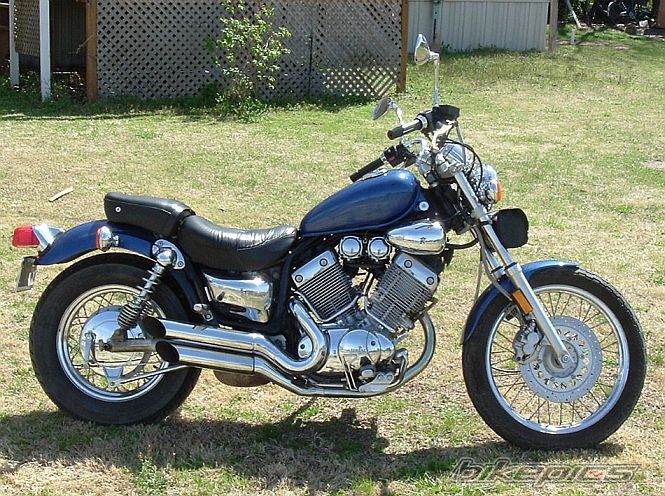 1995 YAMAHA VIRAGO 535 | Picture 1623327 motorcycle photo