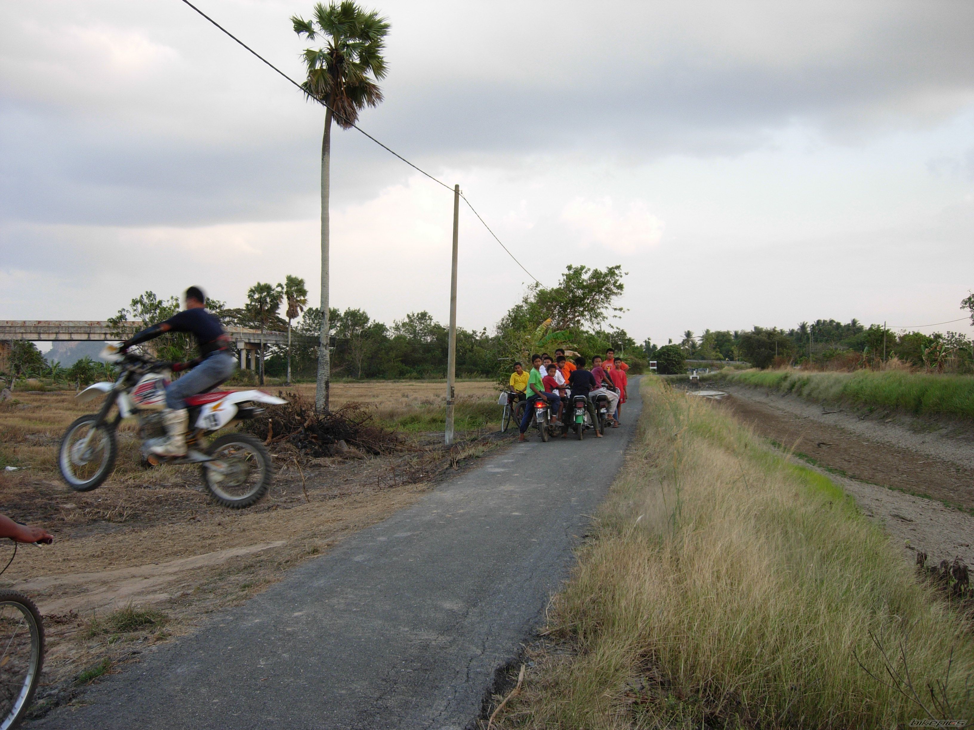 1996 HONDA XR 250 | Picture 1623533 motorcycle photo