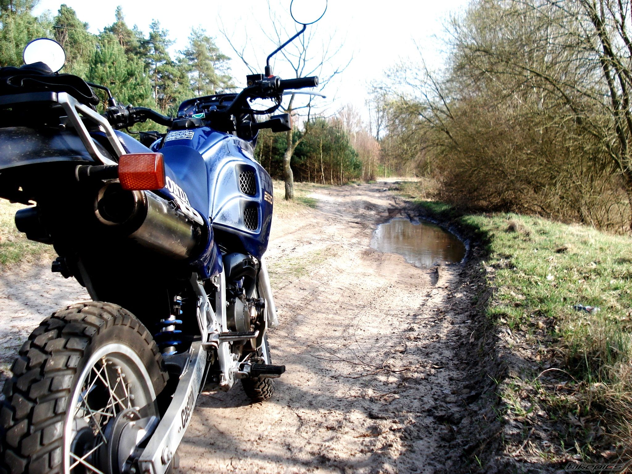 1989 HONDA NX 250 | Picture 1624318 motorcycle photo