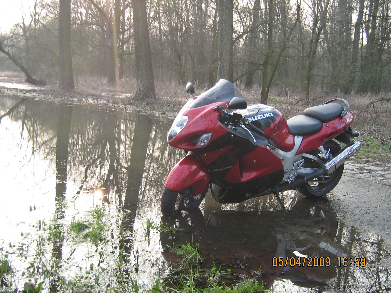 1999 SUZUKI HAYABUSA | Picture 1624341 motorcycle photo