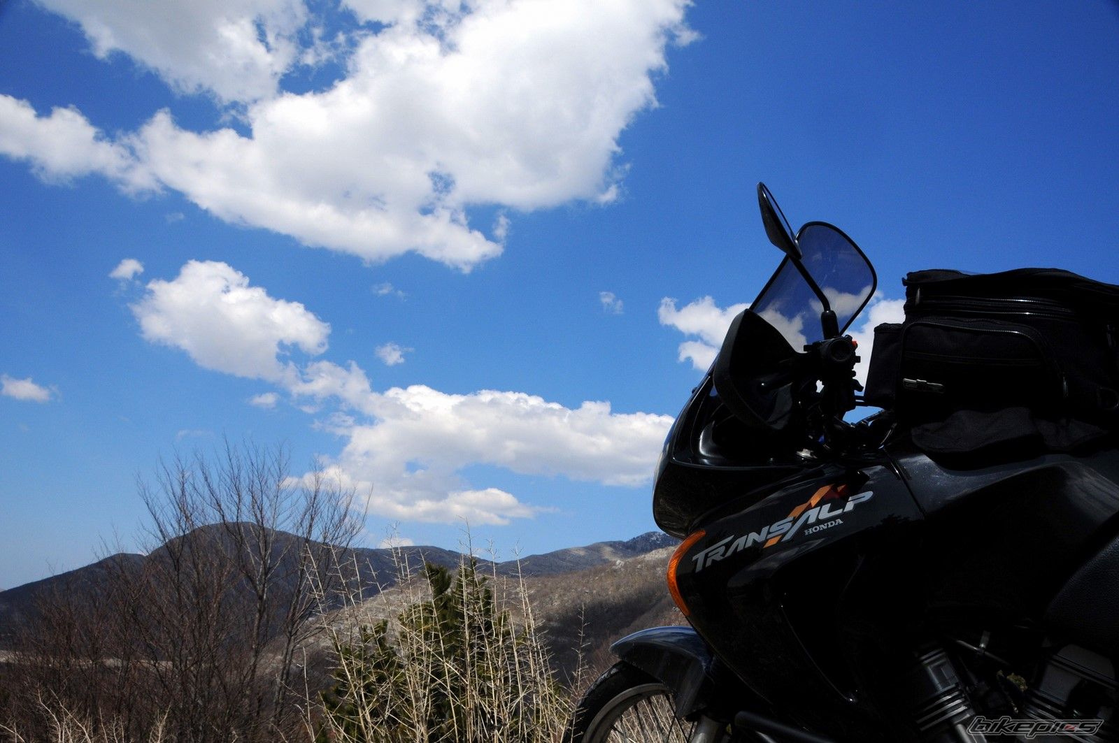 2000 HONDA XL 650V TRANSALP | Picture 1624430 motorcycle photo