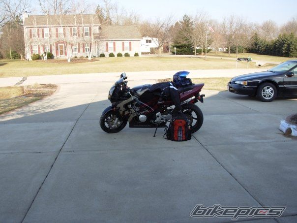 1998 HONDA CBR 600 | Picture 1624439 motorcycle photo