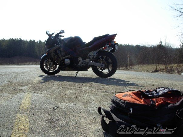 1998 HONDA CBR 600 | Picture 1624440 motorcycle photo
