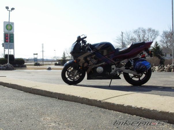 1998 HONDA CBR 600 | Picture 1624445 motorcycle photo