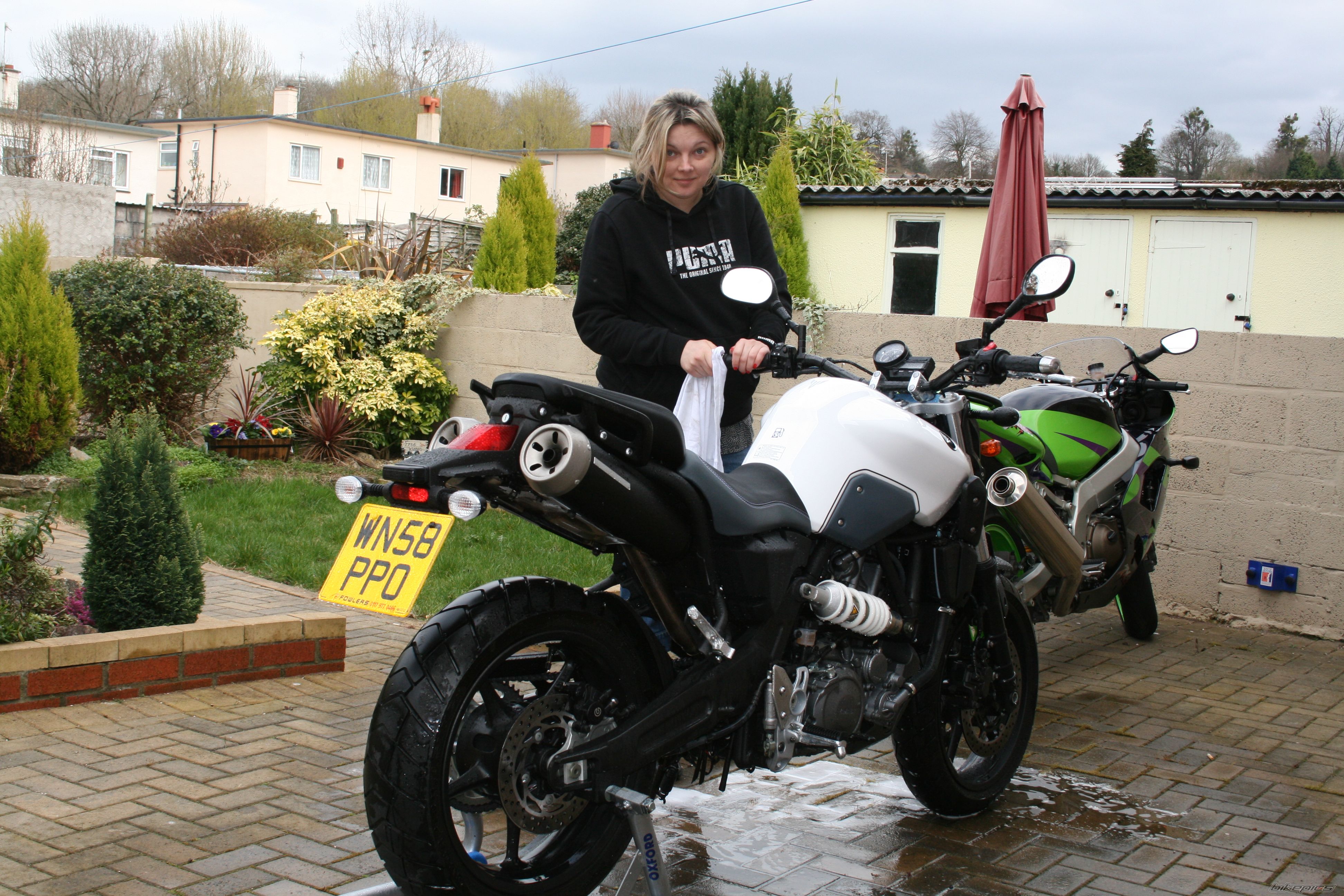    | Picture 1624493 motorcycle photo