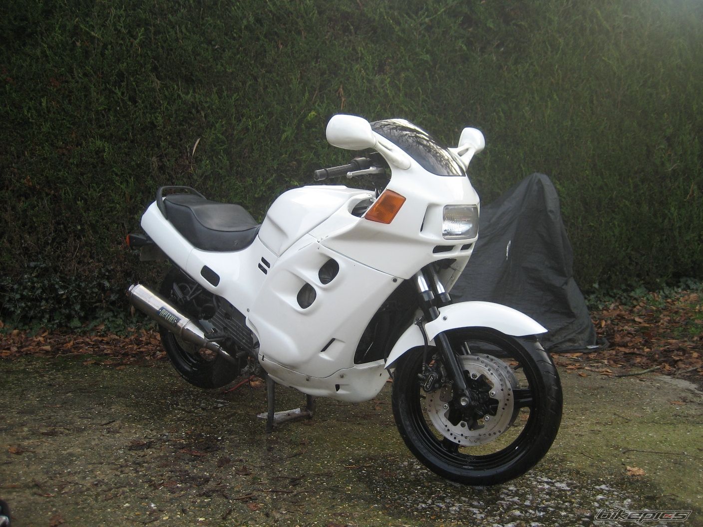 1987 HONDA CBR 1000 F | Picture 1624823 motorcycle photo