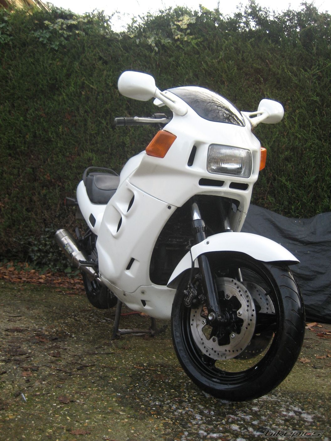 1987 HONDA CBR 1000 F | Picture 1624827 motorcycle photo