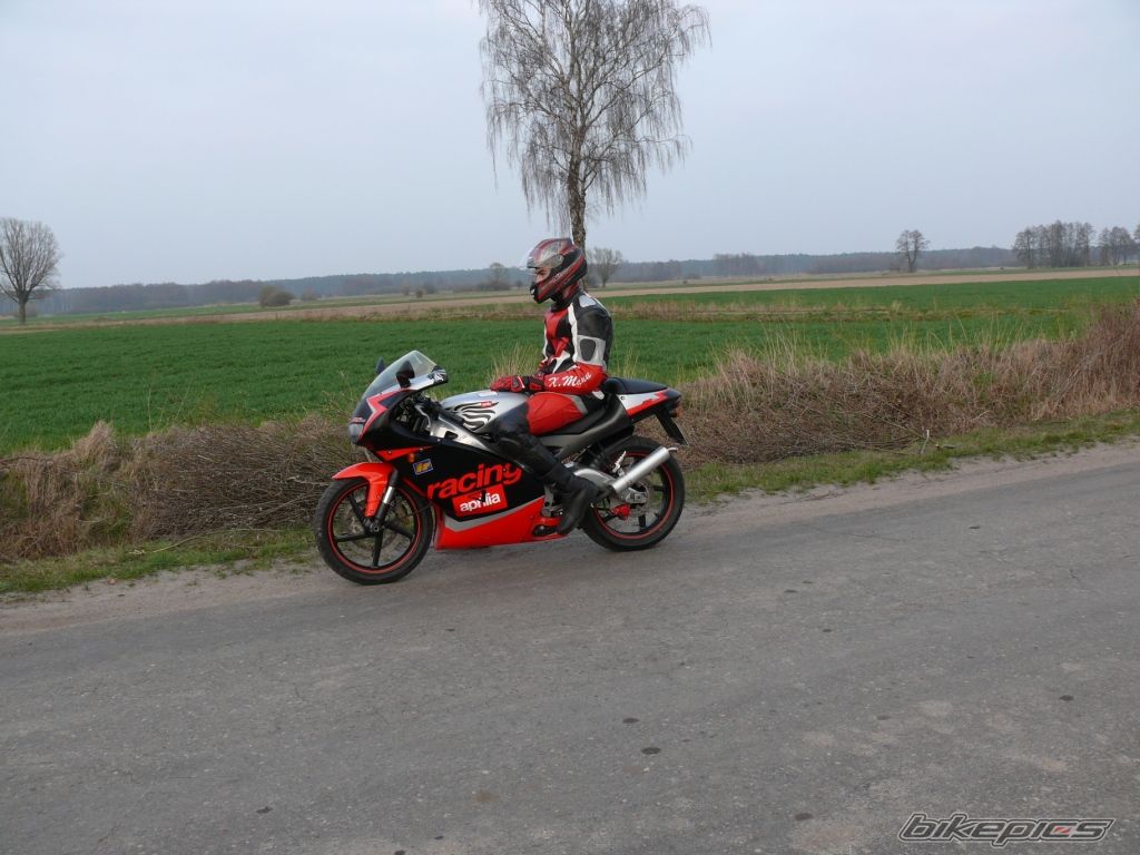2001 APRILIA RS 125 | Picture 1625115 motorcycle photo