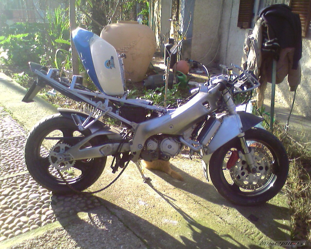 1994 APRILIA RS 125 | Picture 1625280 motorcycle photo