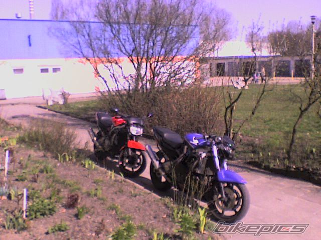 1992 HONDA CBR 600 | Picture 1625666 motorcycle photo