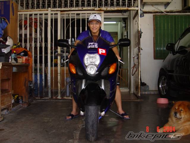 2004 SUZUKI HAYABUSA | Picture 162601 motorcycle photo