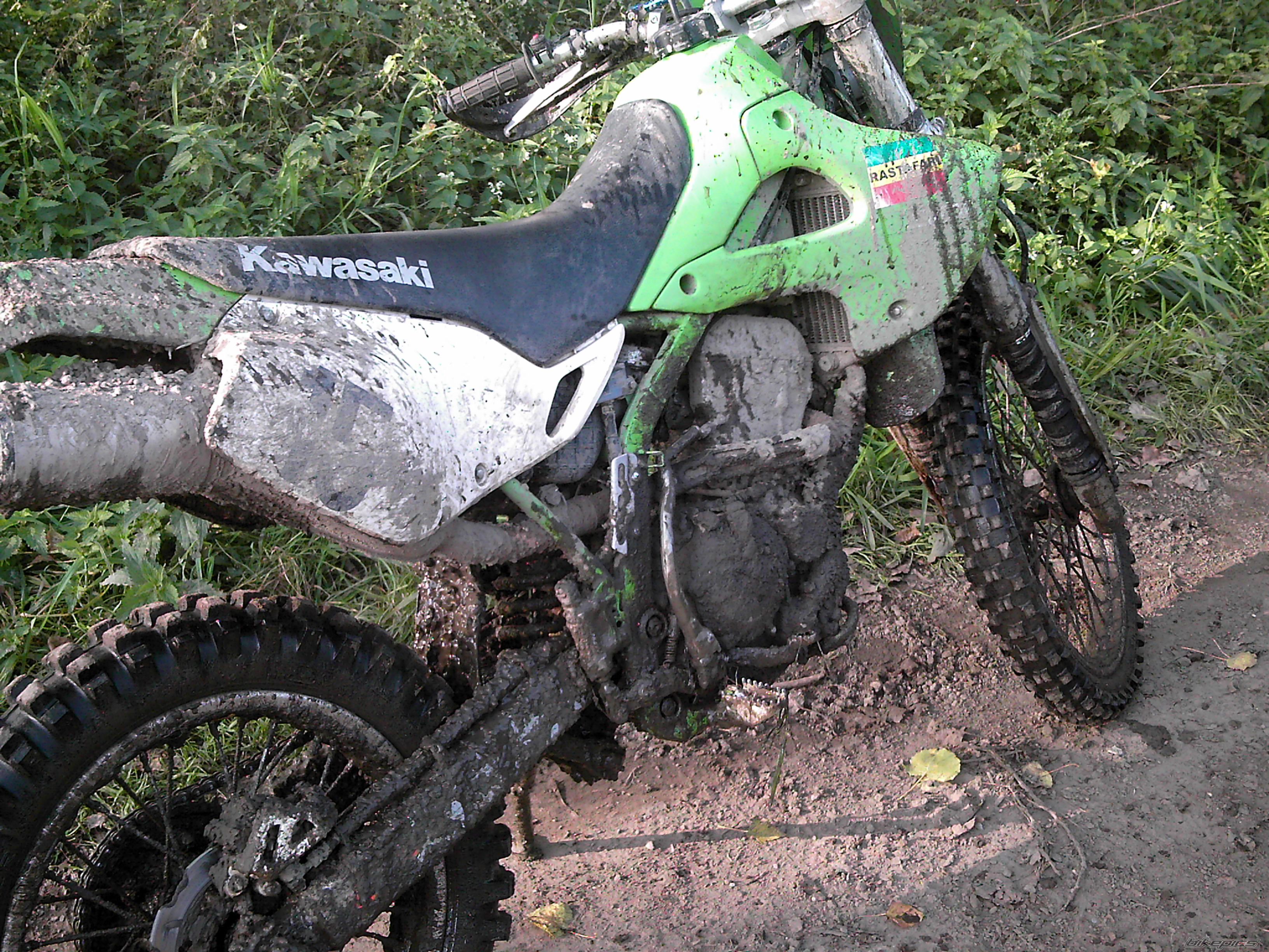2001 KAWASAKI KLX 300 | Picture 1626140 motorcycle photo