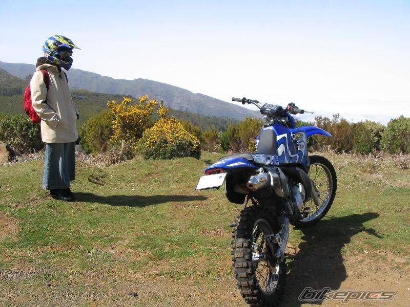 2001 YAMAHA DT 125 | Picture 162634 motorcycle photo