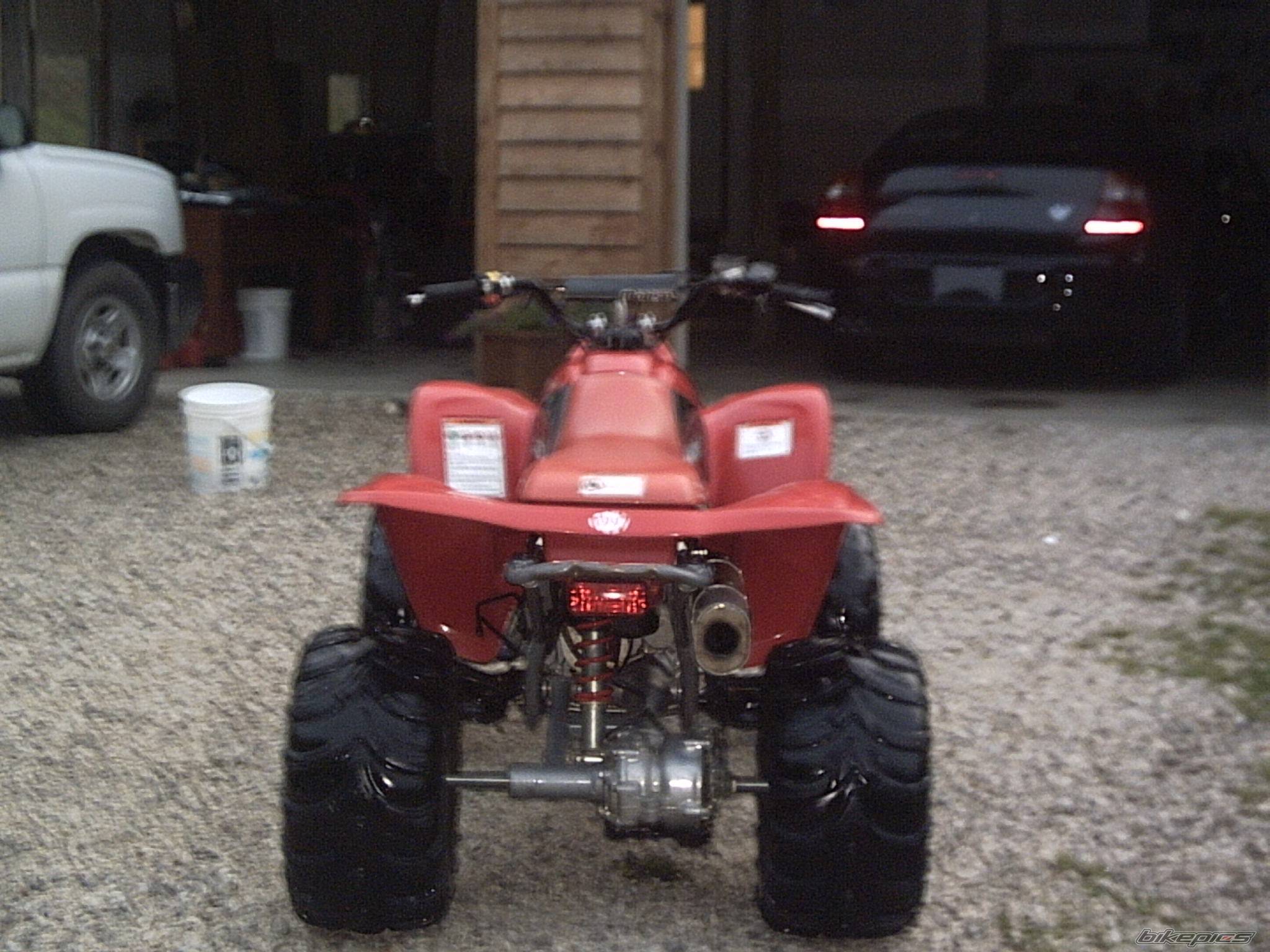 2001 HONDA 250EX | Picture 162635 motorcycle photo