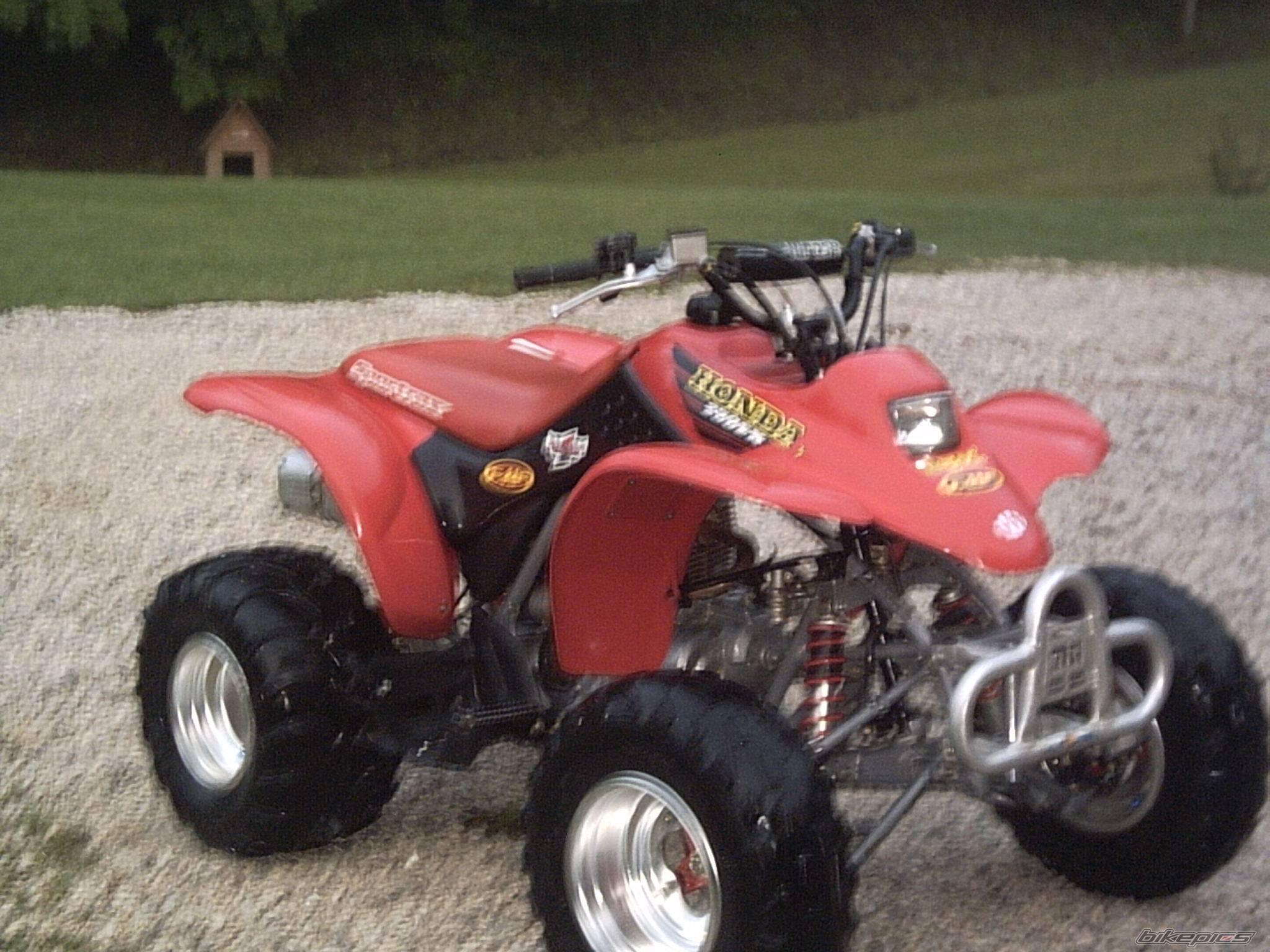 2001 HONDA 250EX | Picture 162637 motorcycle photo