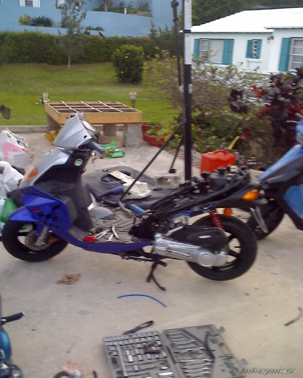 2008 DAELIM S FIVE 50 | Picture 1626871 motorcycle photo
