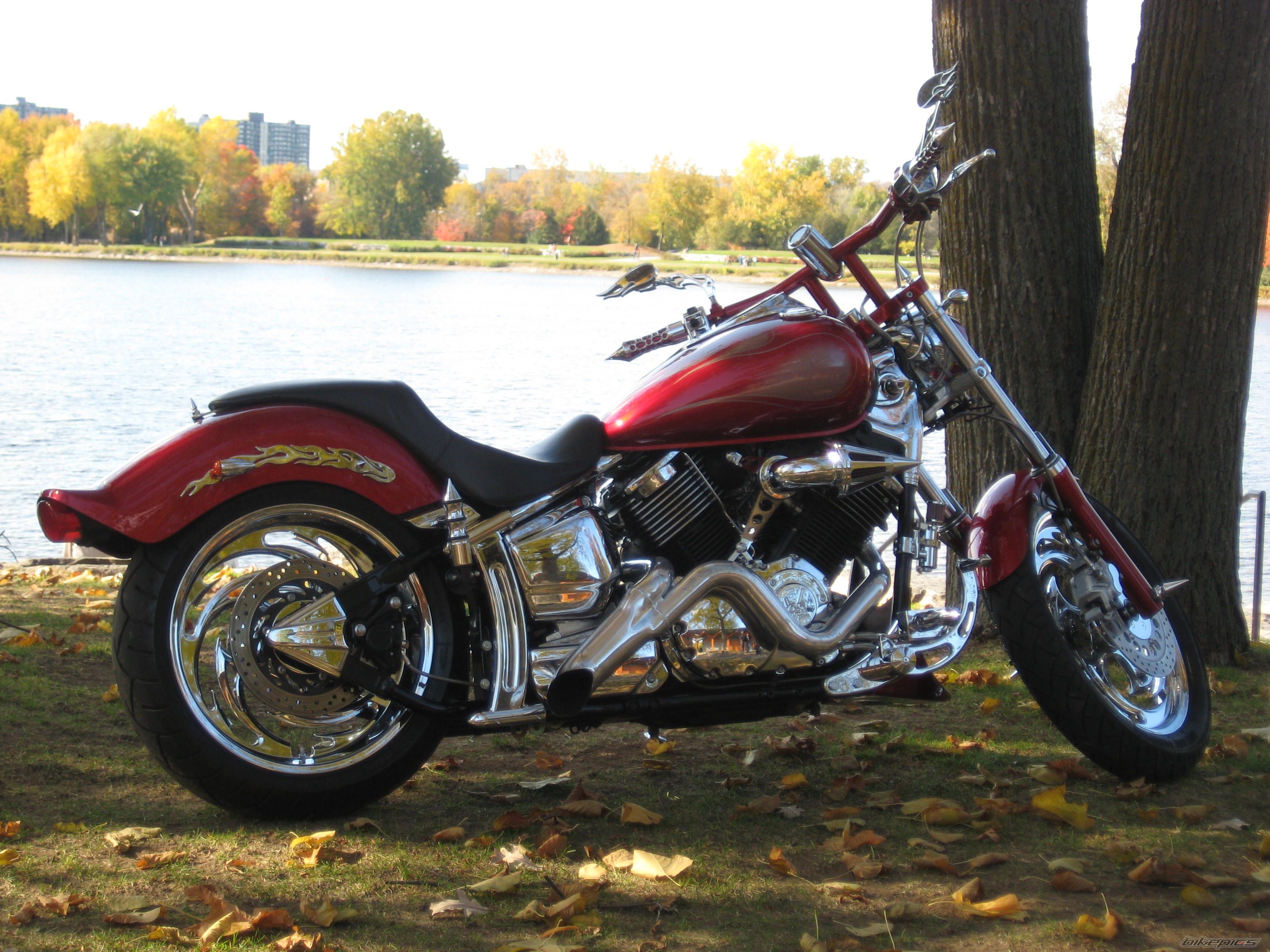 2006 YAMAHA XVS 1100 | Picture 1627219 motorcycle photo