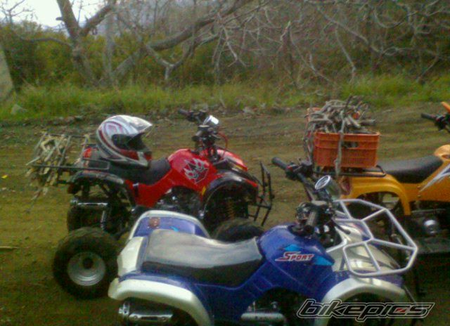 2009 SUZUKI LANDIE 50 | Picture 1627429 motorcycle photo