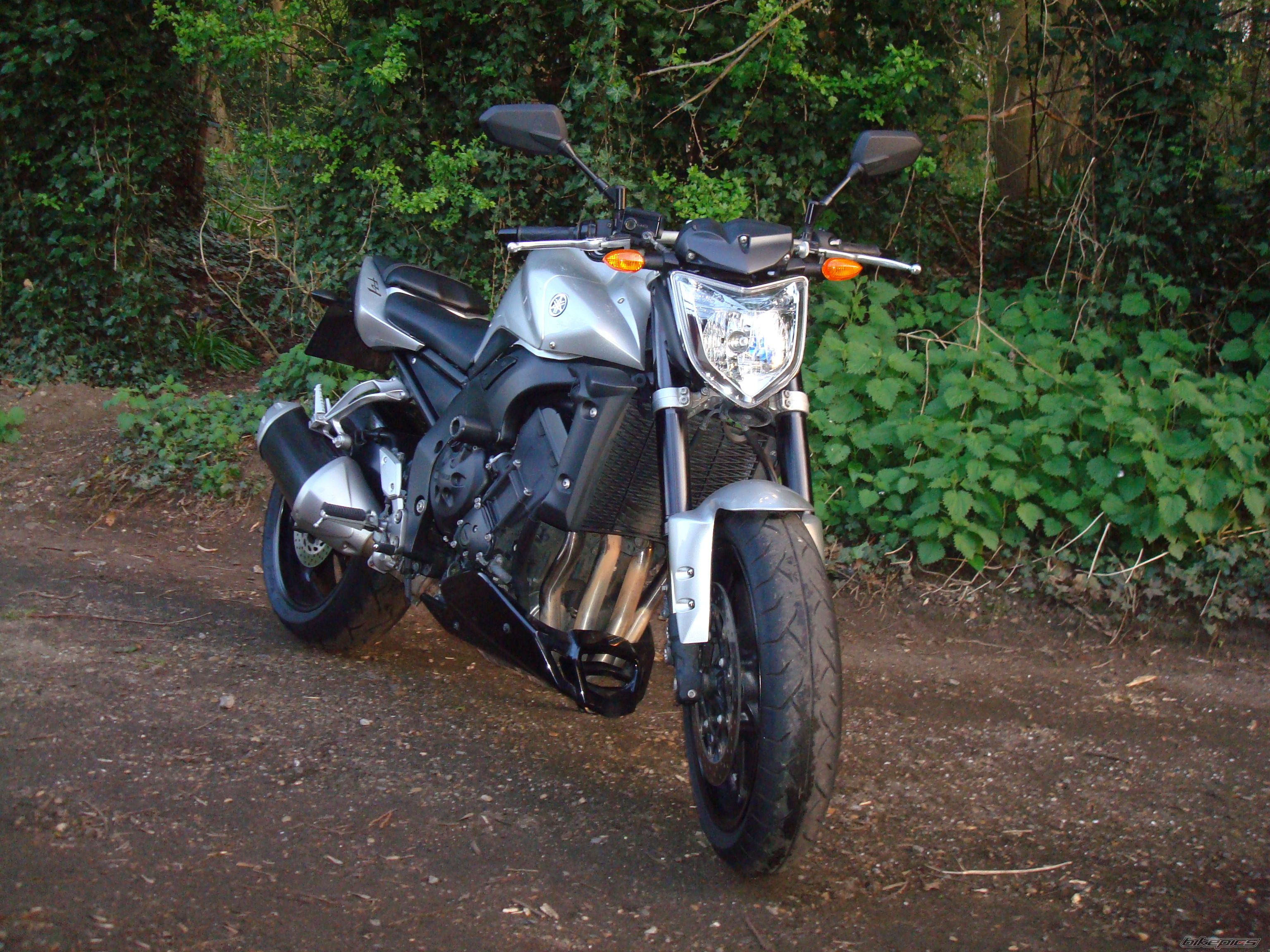 2008 YAMAHA FZ 1N | Picture 1627631 motorcycle photo