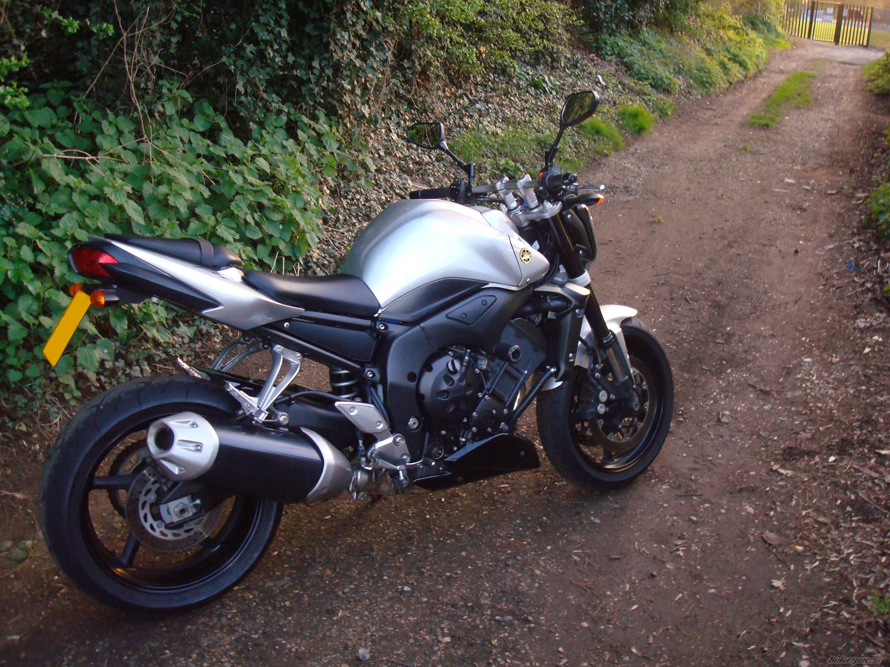 2008 YAMAHA FZ 1N | Picture 1627635 motorcycle photo