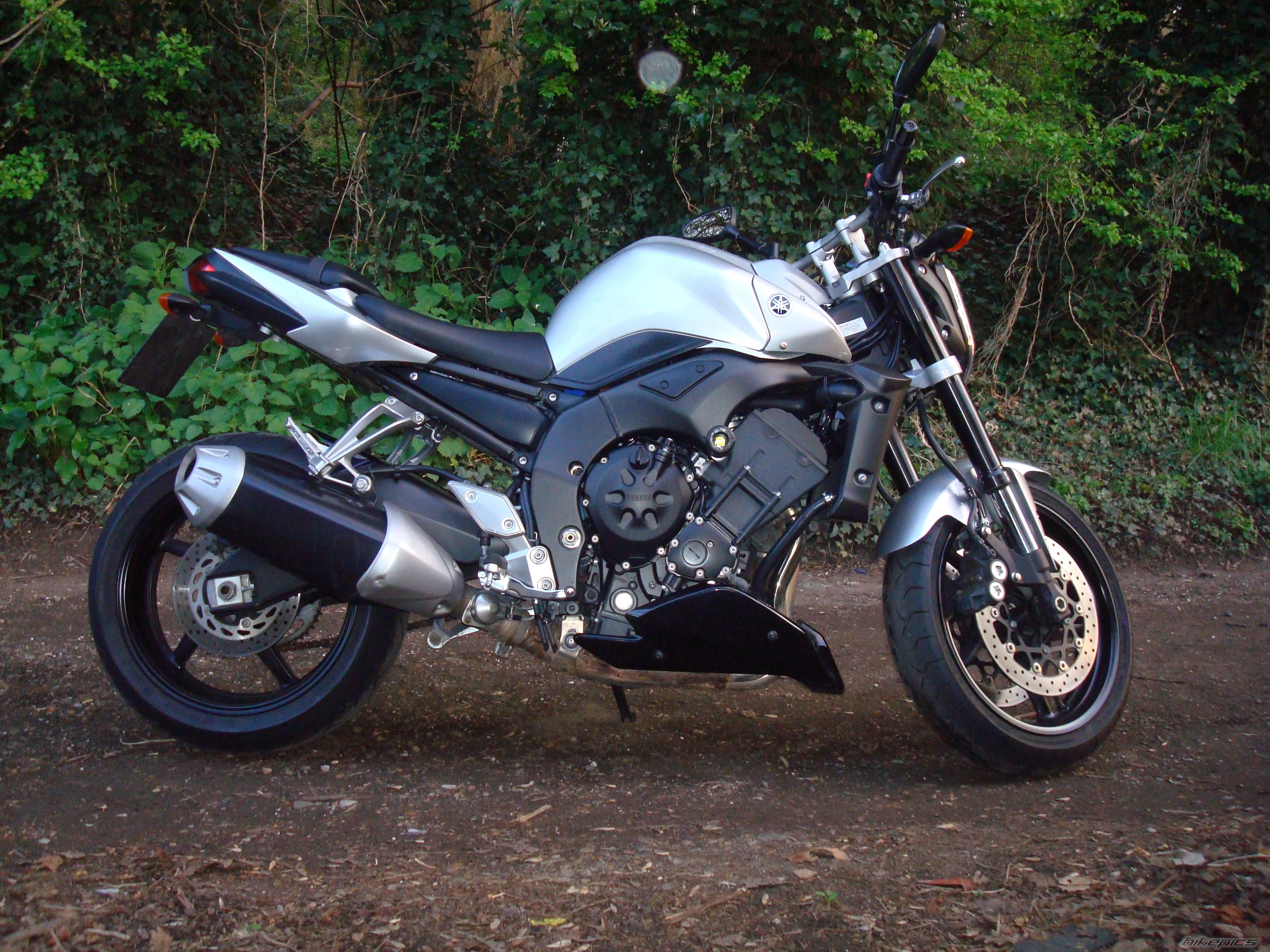 2008 YAMAHA FZ 1N | Picture 1627637 motorcycle photo