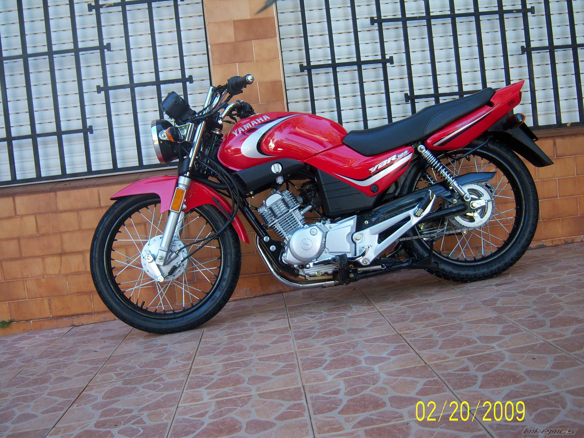 2009 YAMAHA YBR 125 | Picture 1627826 motorcycle photo