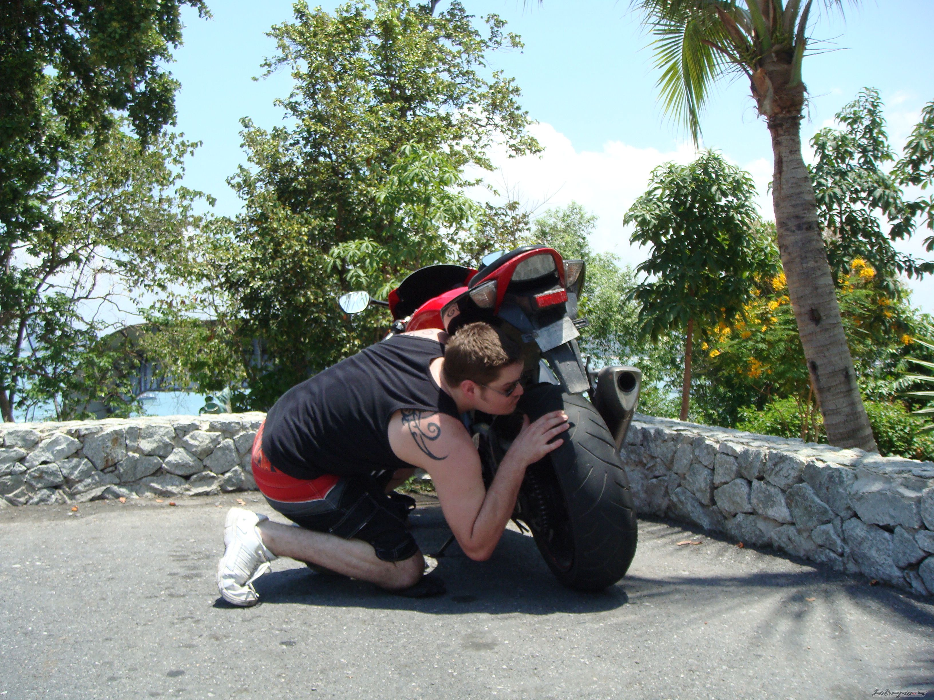 2006 SUZUKI GSX R 1000 | Picture 1627832 motorcycle photo