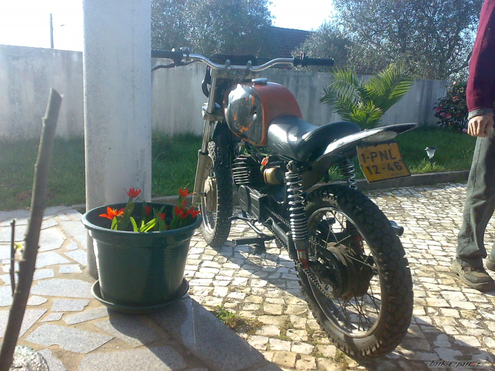 1983 MACAL P6R | Picture 1628373 motorcycle photo