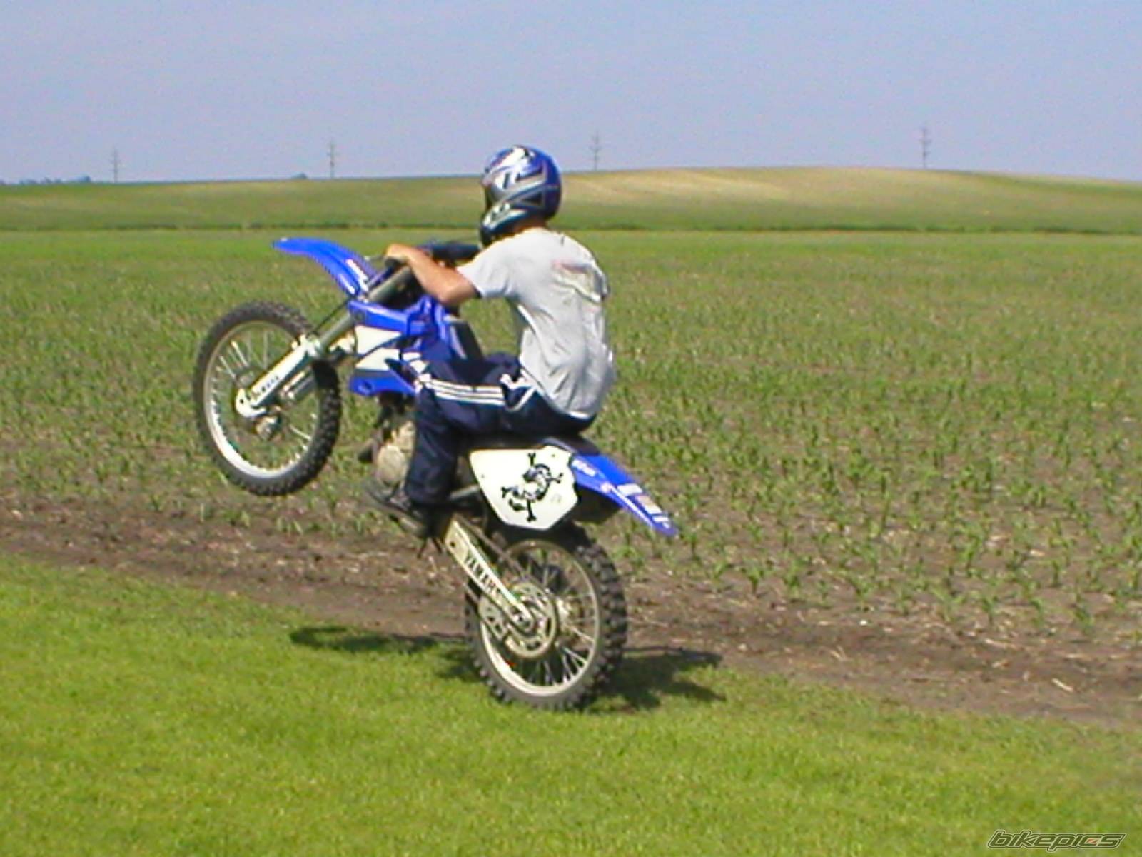 2003 YAMAHA YZ 125 | Picture 162845 motorcycle photo