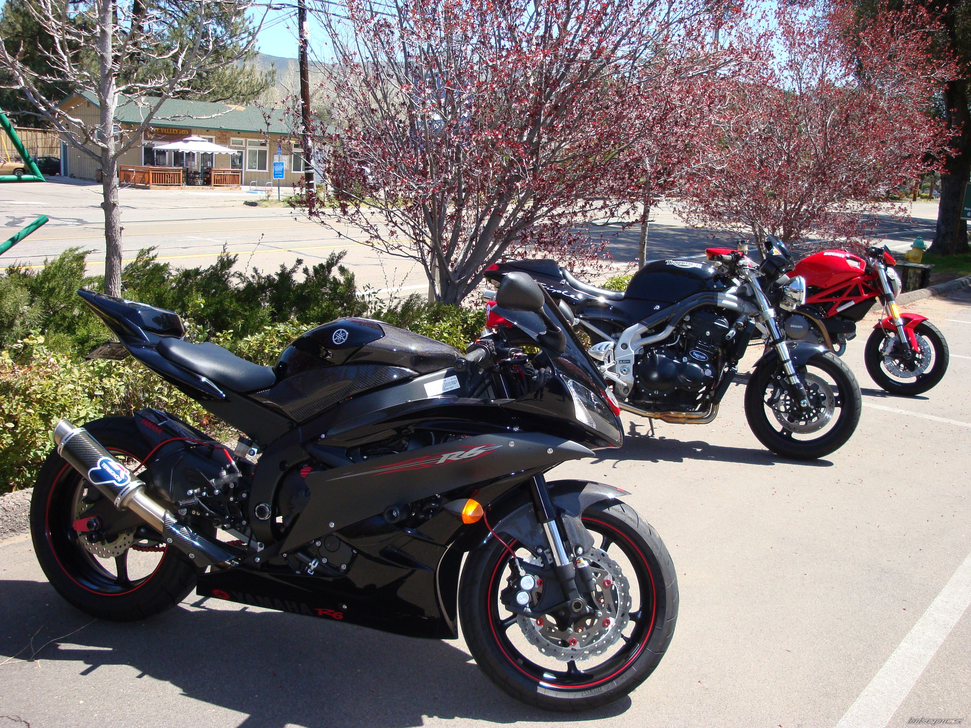 2006 YAMAHA YZF R6 | Picture 1628969 motorcycle photo