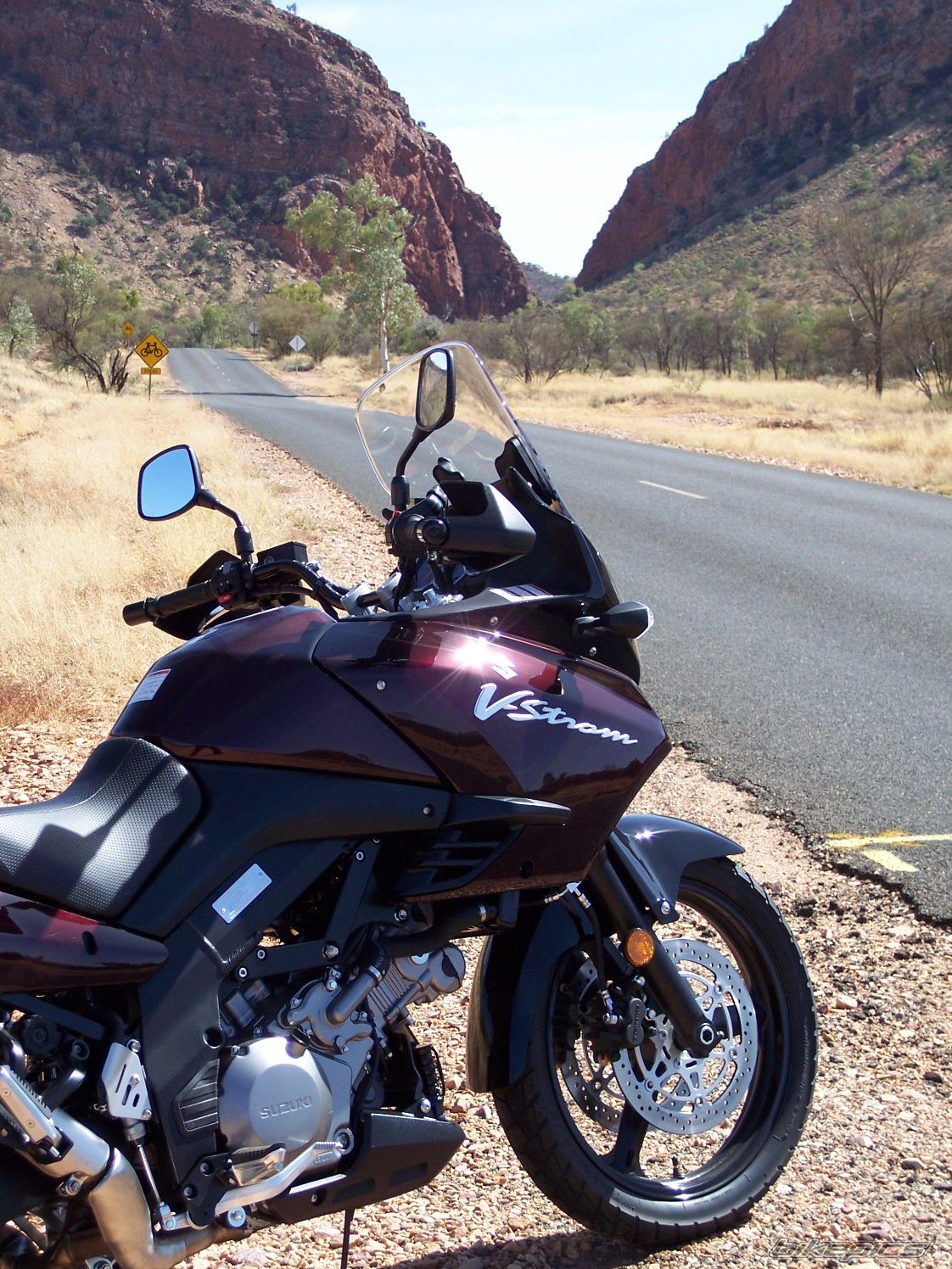 2009 SUZUKI DL 1000 | Picture 1629001 motorcycle photo