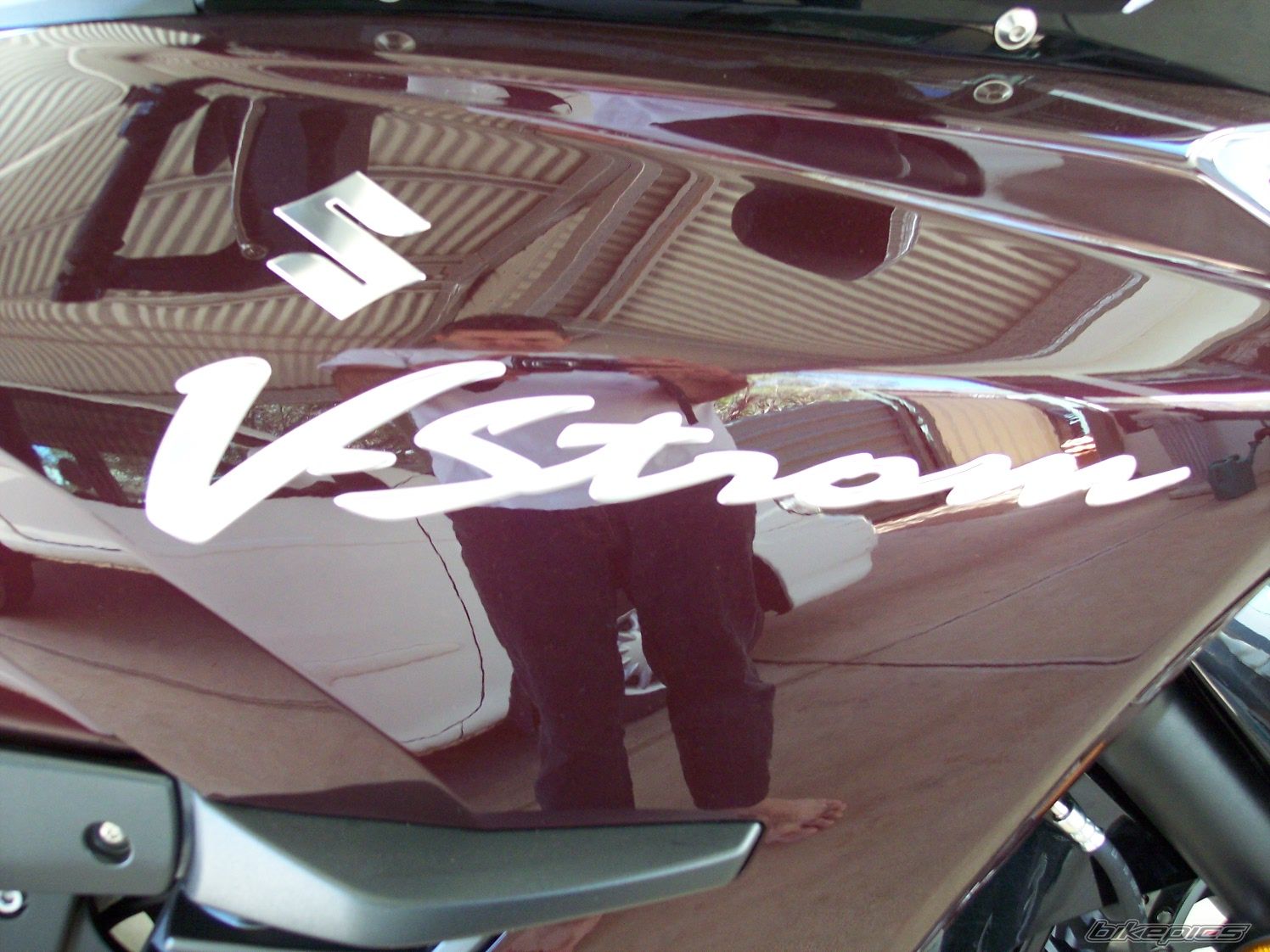 2009 SUZUKI DL 1000 | Picture 1629004 motorcycle photo