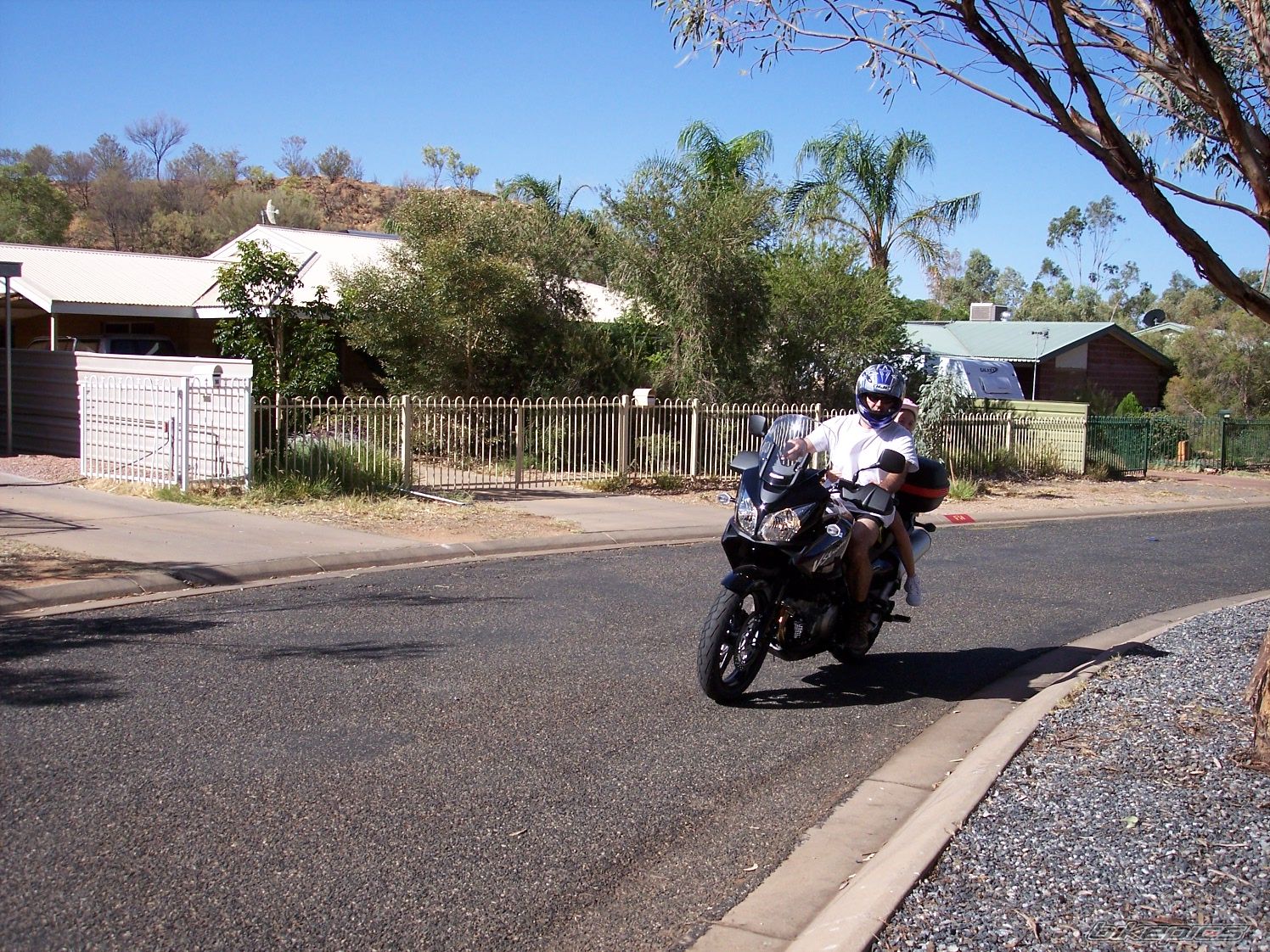 2009 SUZUKI DL 1000 | Picture 1629241 motorcycle photo