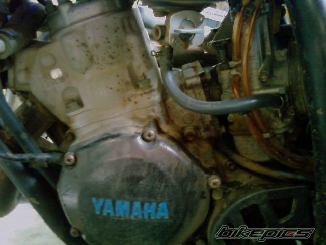 1996 YAMAHA YZ 125 | Picture 1629887 motorcycle photo
