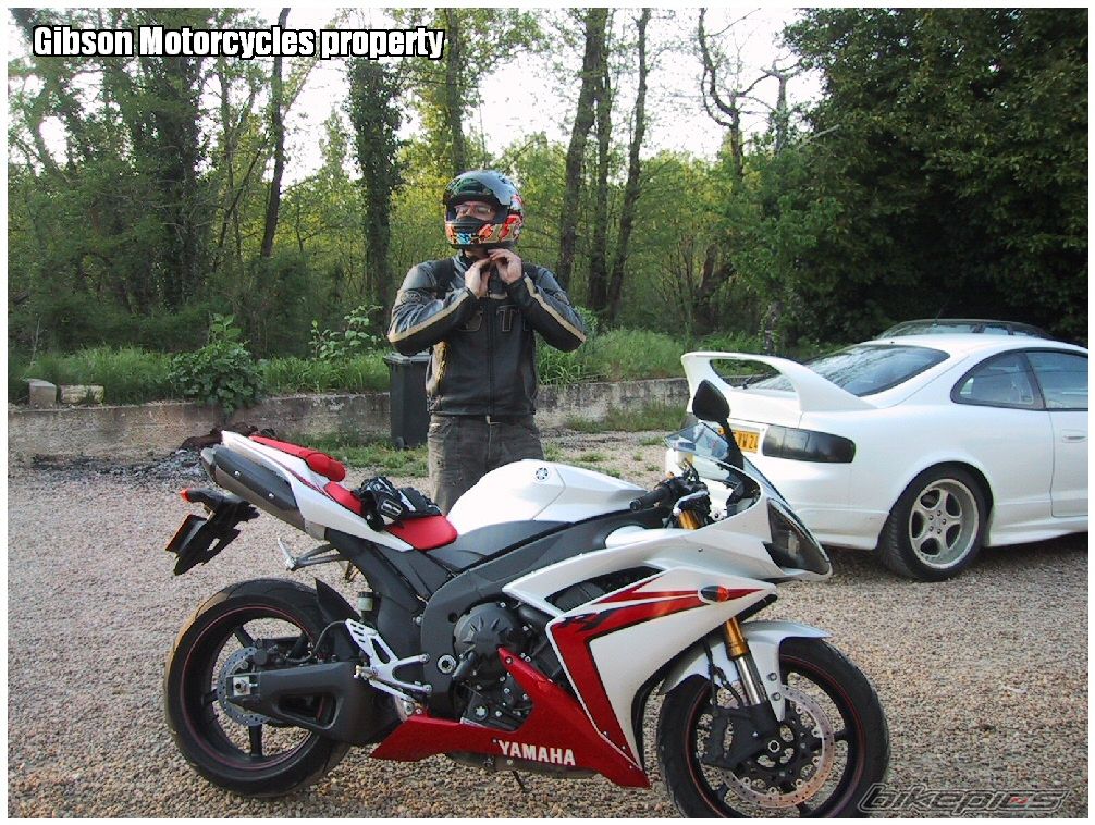 2007 YAMAHA YZF R1 | Picture 1630101 motorcycle photo