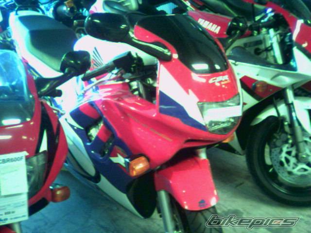 1995 HONDA CBR 600 | Picture 163015 motorcycle photo