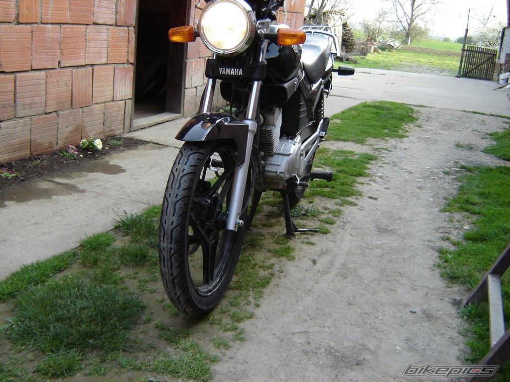 2006 YAMAHA YBR 125 | Picture 1630815 motorcycle photo