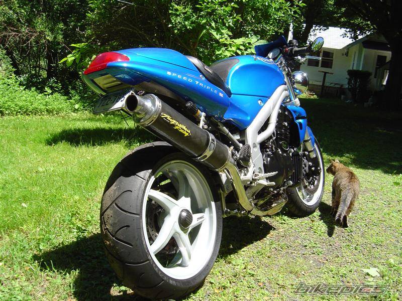 2001 TRIUMPH SPEED TRIPLE | Picture 163138 motorcycle photo