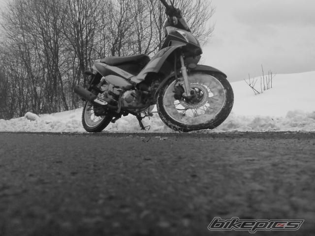 2008 ROMET 50 | Picture 1631634 motorcycle photo