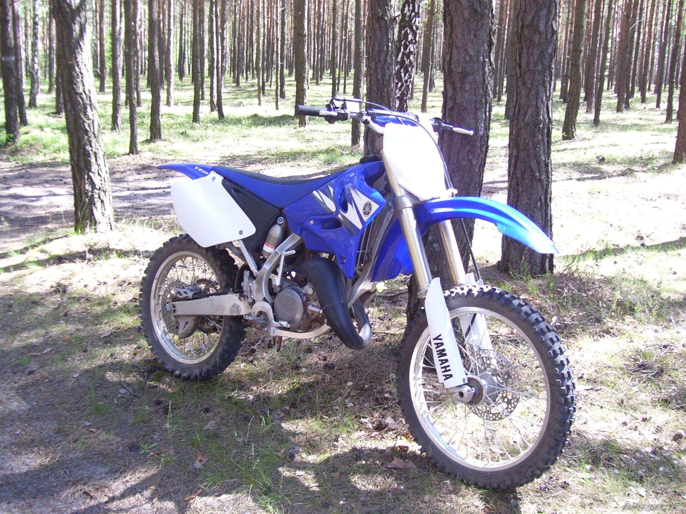 2006 YAMAHA YZ 125 | Picture 1632077 motorcycle photo