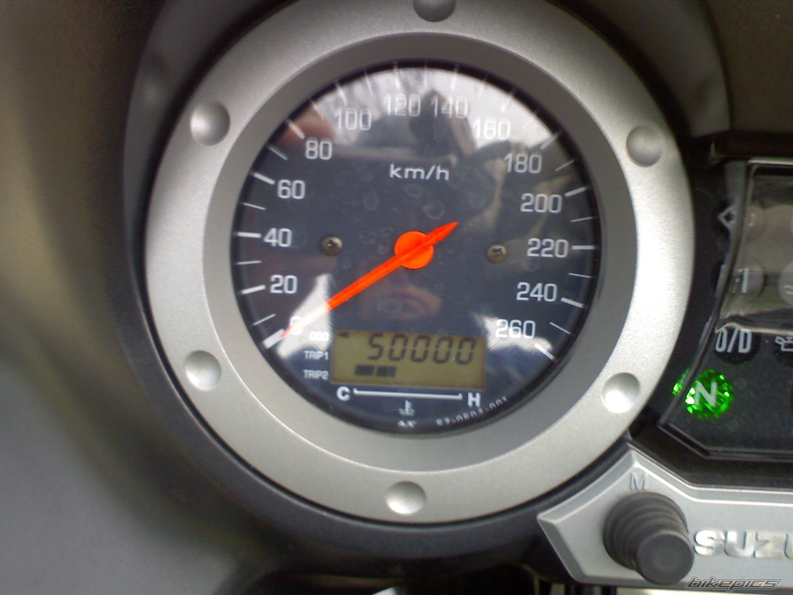 2003 SUZUKI DL 1000 | Picture 1632233 motorcycle photo