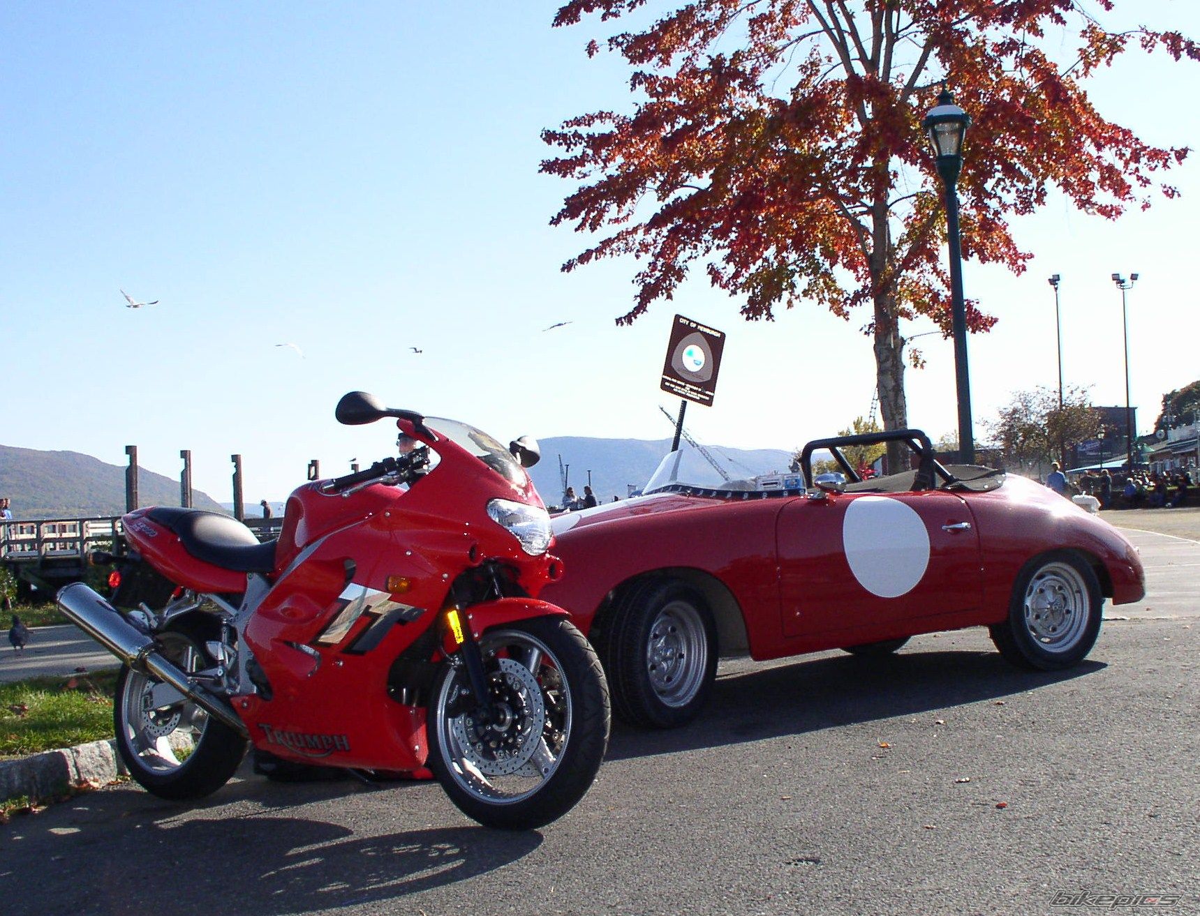 2003 TRIUMPH TT 600 | Picture 1632637 motorcycle photo