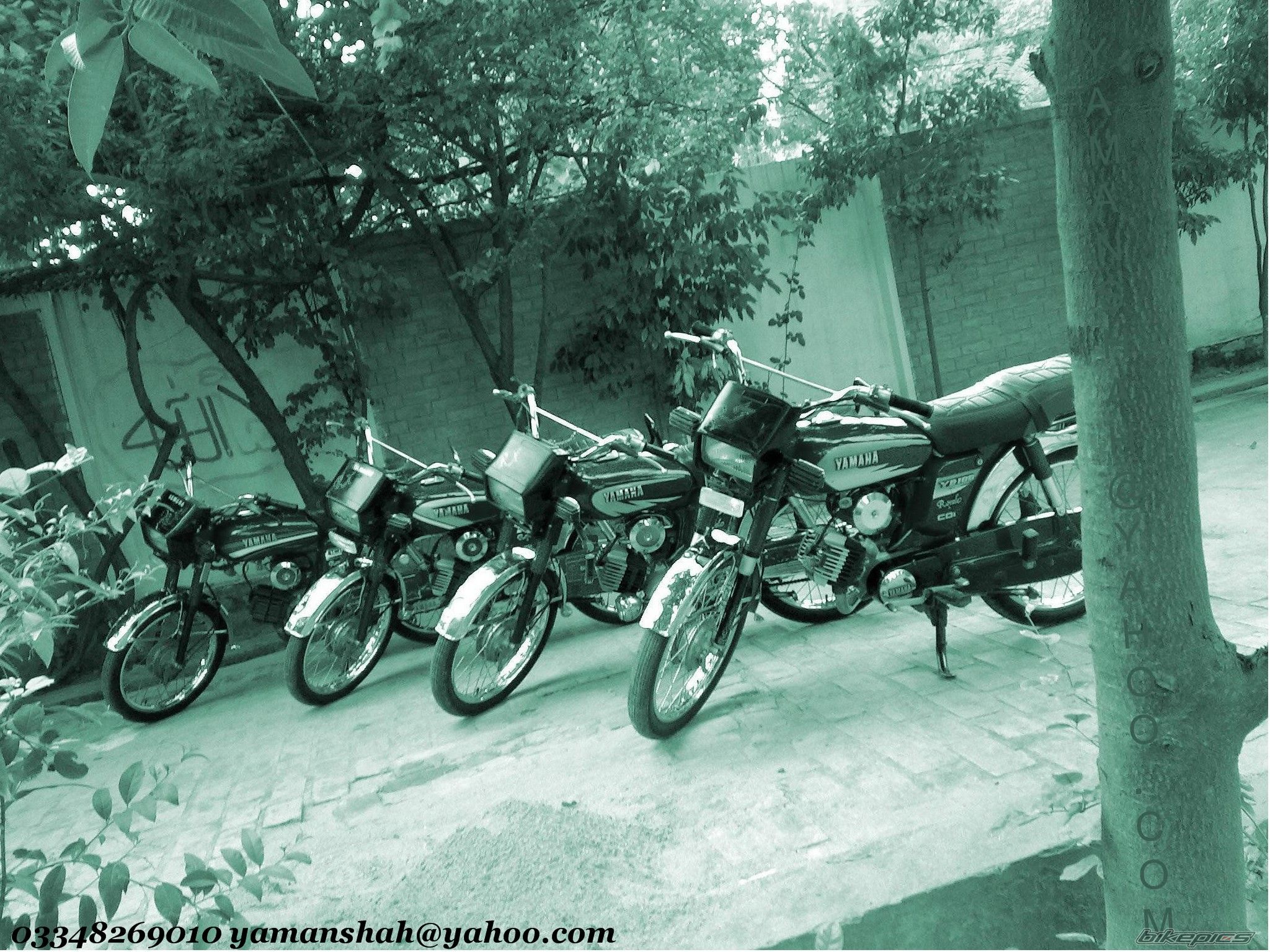 1998 YAMAHA YB 100 | Picture 1632695 motorcycle photo