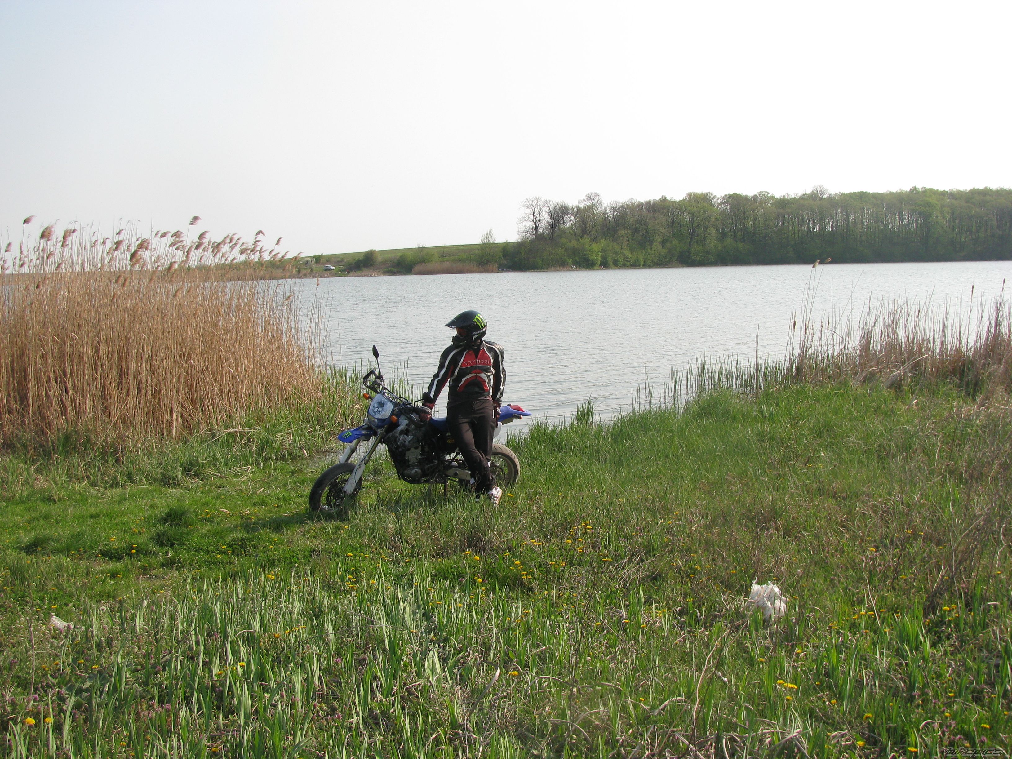 1999 YAMAHA WR 400F | Picture 1633030 motorcycle photo