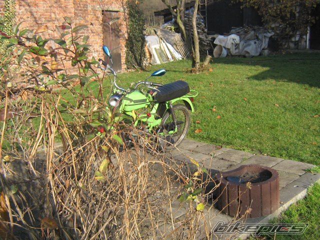 1982 ROMET 50 CROSS | Picture 1633205 motorcycle photo